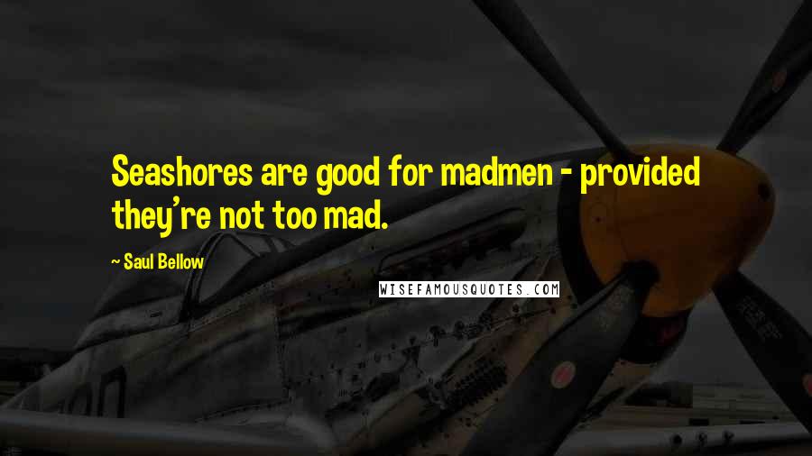 Saul Bellow Quotes: Seashores are good for madmen - provided they're not too mad.