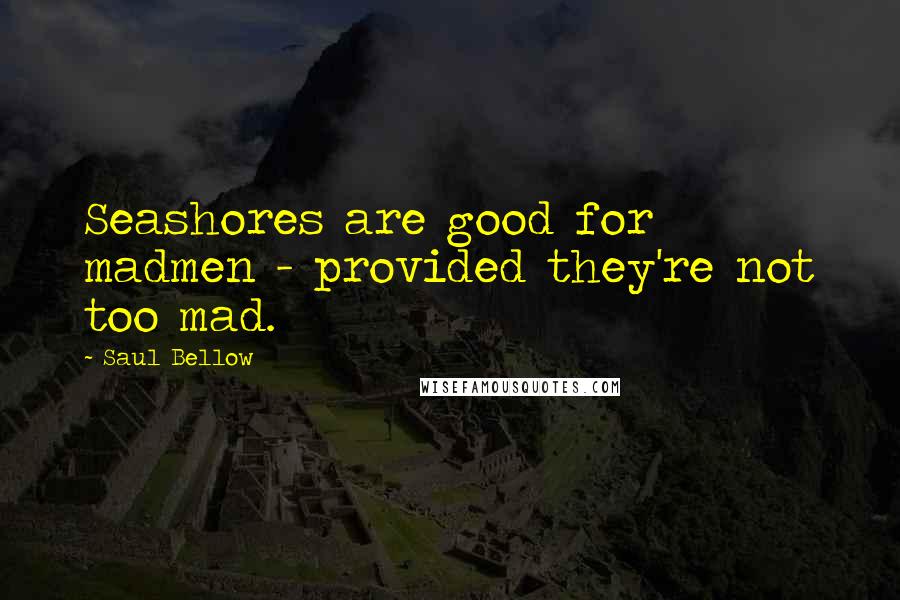 Saul Bellow Quotes: Seashores are good for madmen - provided they're not too mad.