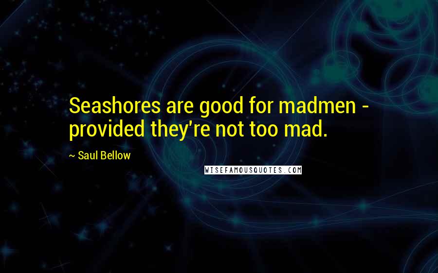 Saul Bellow Quotes: Seashores are good for madmen - provided they're not too mad.