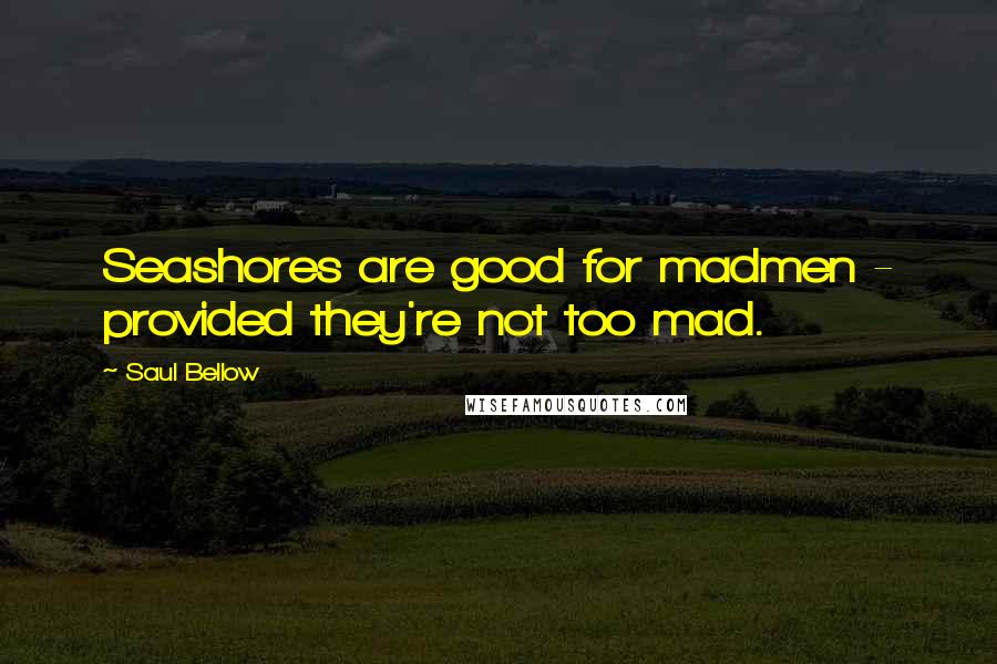 Saul Bellow Quotes: Seashores are good for madmen - provided they're not too mad.