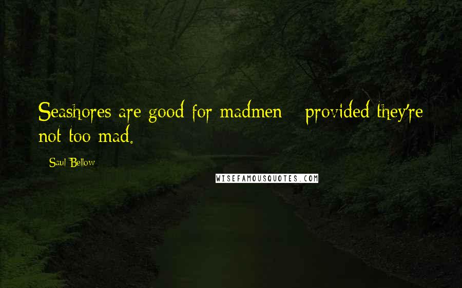Saul Bellow Quotes: Seashores are good for madmen - provided they're not too mad.