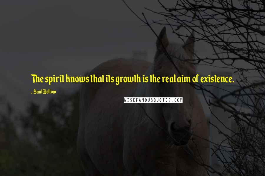 Saul Bellow Quotes: The spirit knows that its growth is the real aim of existence.