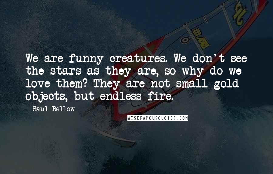 Saul Bellow Quotes: We are funny creatures. We don't see the stars as they are, so why do we love them? They are not small gold objects, but endless fire.