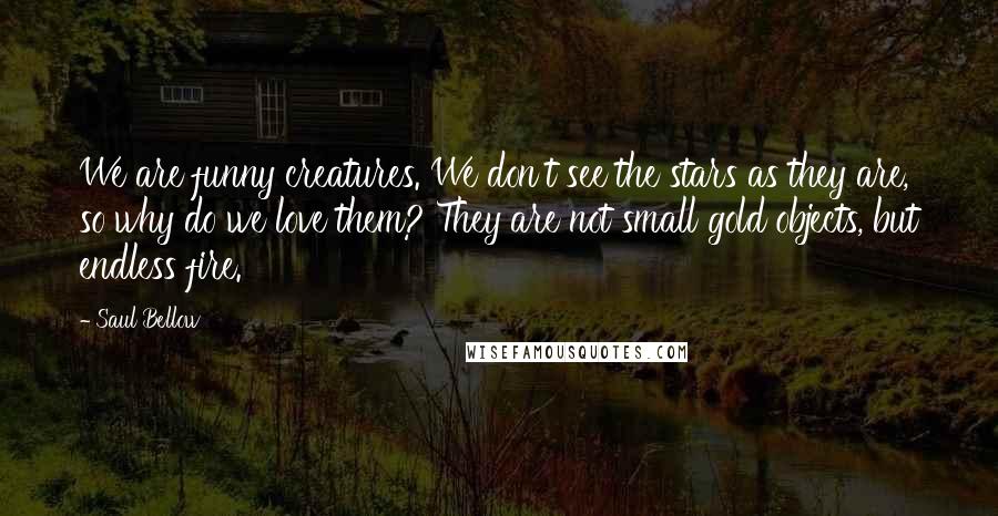 Saul Bellow Quotes: We are funny creatures. We don't see the stars as they are, so why do we love them? They are not small gold objects, but endless fire.