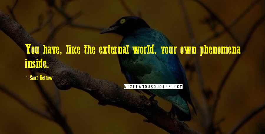 Saul Bellow Quotes: You have, like the external world, your own phenomena inside.