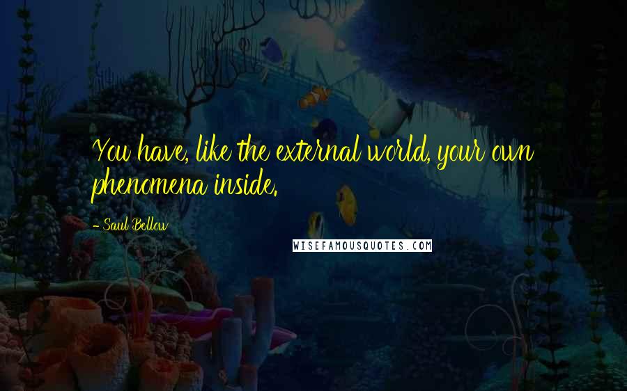 Saul Bellow Quotes: You have, like the external world, your own phenomena inside.