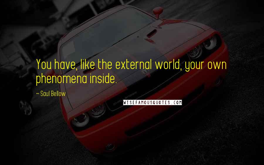 Saul Bellow Quotes: You have, like the external world, your own phenomena inside.