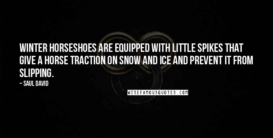 Saul David Quotes: Winter horseshoes are equipped with little spikes that give a horse traction on snow and ice and prevent it from slipping.