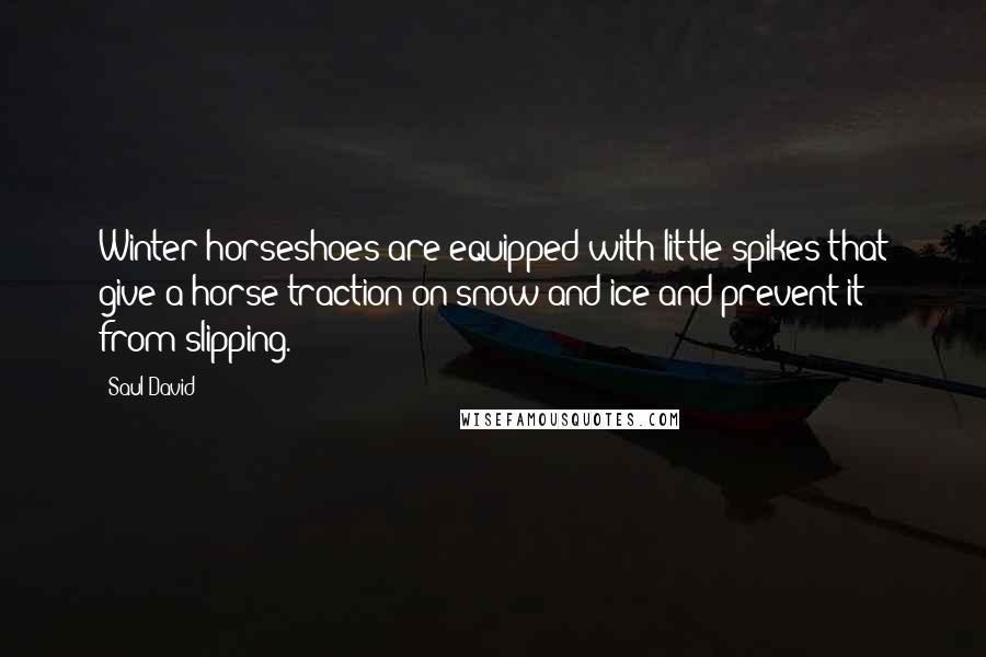 Saul David Quotes: Winter horseshoes are equipped with little spikes that give a horse traction on snow and ice and prevent it from slipping.