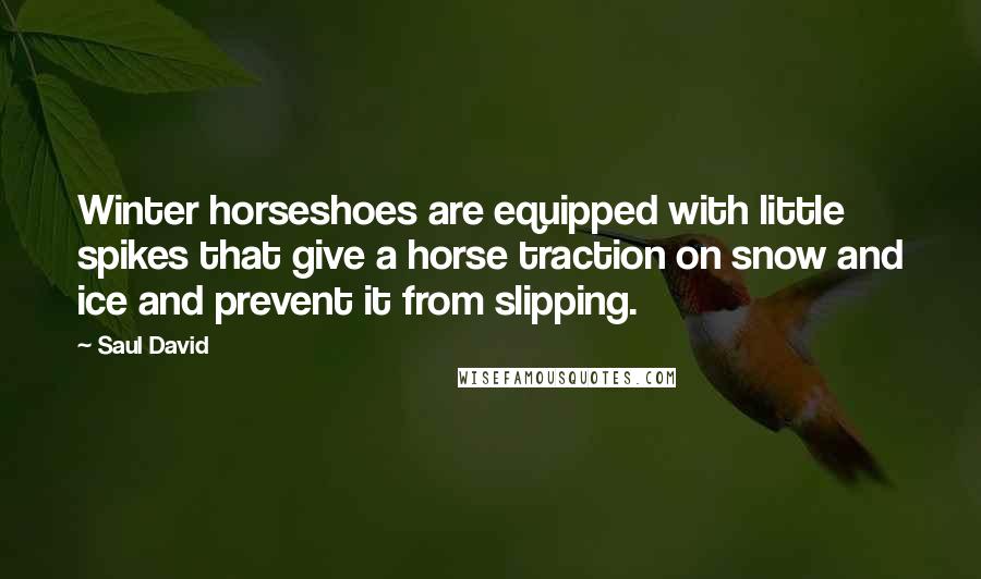 Saul David Quotes: Winter horseshoes are equipped with little spikes that give a horse traction on snow and ice and prevent it from slipping.