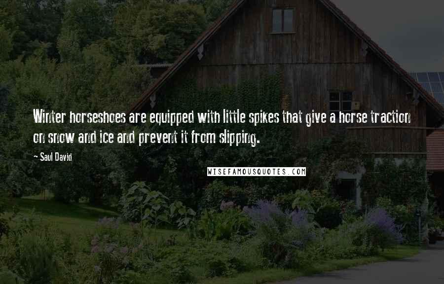 Saul David Quotes: Winter horseshoes are equipped with little spikes that give a horse traction on snow and ice and prevent it from slipping.