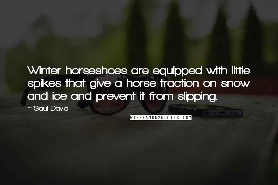 Saul David Quotes: Winter horseshoes are equipped with little spikes that give a horse traction on snow and ice and prevent it from slipping.