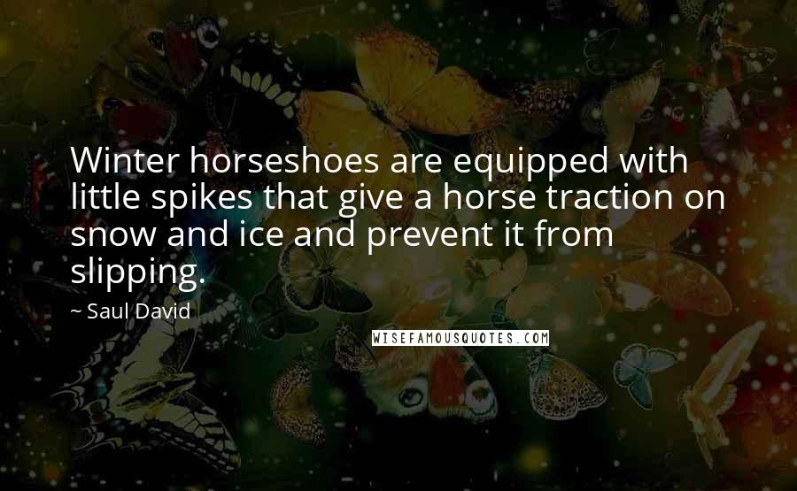 Saul David Quotes: Winter horseshoes are equipped with little spikes that give a horse traction on snow and ice and prevent it from slipping.