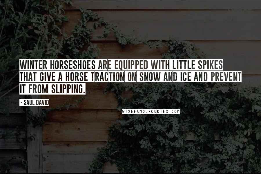 Saul David Quotes: Winter horseshoes are equipped with little spikes that give a horse traction on snow and ice and prevent it from slipping.