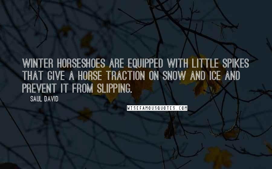 Saul David Quotes: Winter horseshoes are equipped with little spikes that give a horse traction on snow and ice and prevent it from slipping.