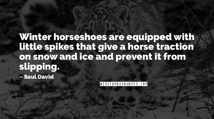 Saul David Quotes: Winter horseshoes are equipped with little spikes that give a horse traction on snow and ice and prevent it from slipping.