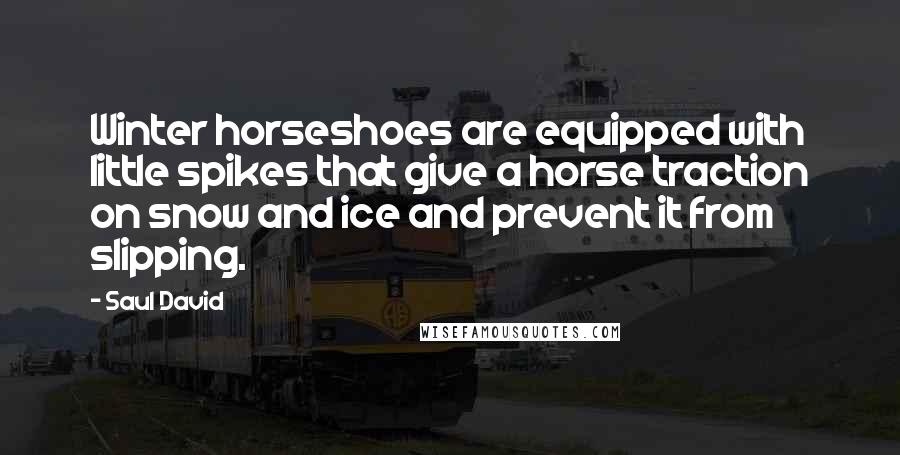 Saul David Quotes: Winter horseshoes are equipped with little spikes that give a horse traction on snow and ice and prevent it from slipping.