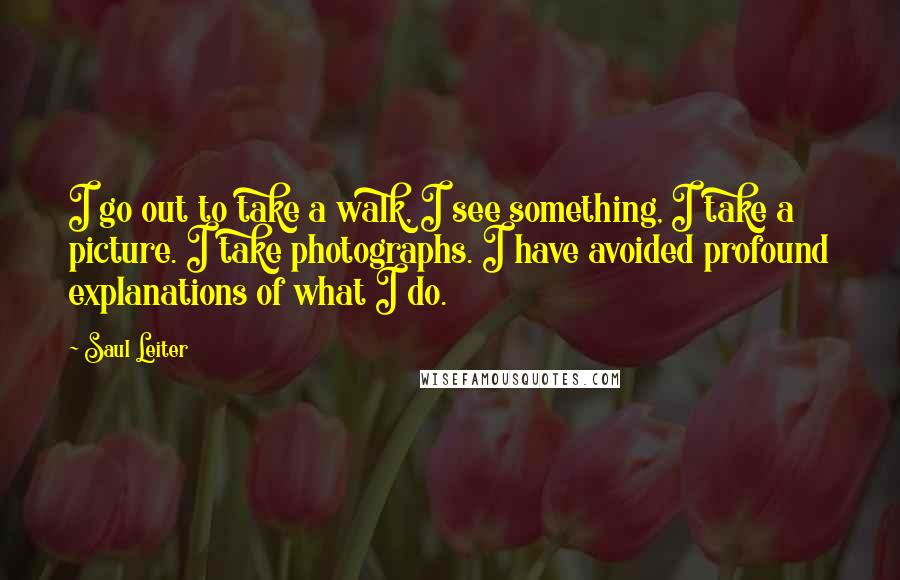 Saul Leiter Quotes: I go out to take a walk, I see something, I take a picture. I take photographs. I have avoided profound explanations of what I do.