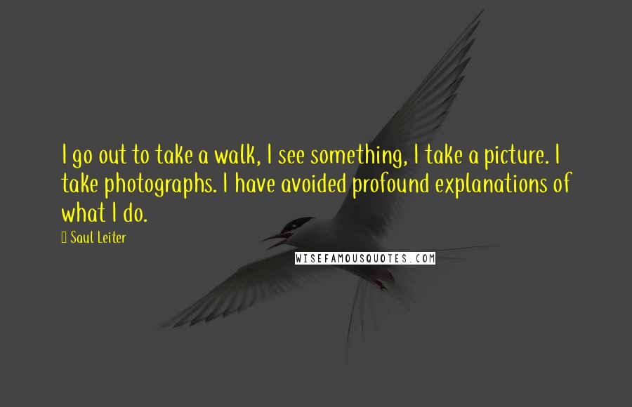 Saul Leiter Quotes: I go out to take a walk, I see something, I take a picture. I take photographs. I have avoided profound explanations of what I do.