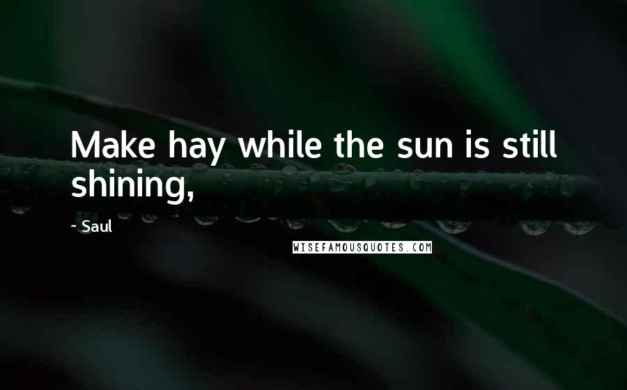 Saul Quotes: Make hay while the sun is still shining,