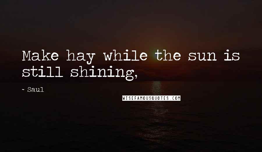 Saul Quotes: Make hay while the sun is still shining,