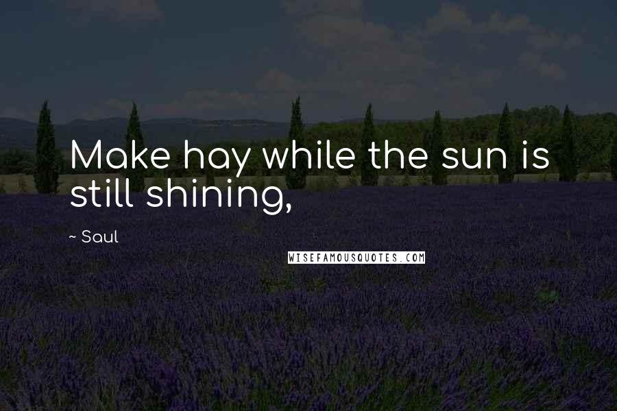 Saul Quotes: Make hay while the sun is still shining,