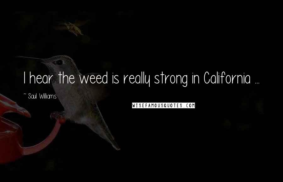 Saul Williams Quotes: I hear the weed is really strong in California ...