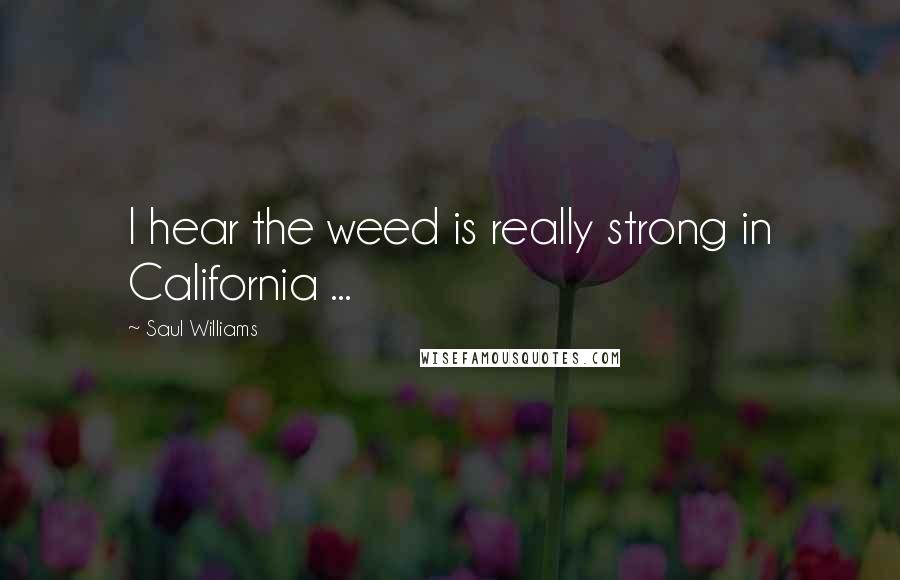 Saul Williams Quotes: I hear the weed is really strong in California ...