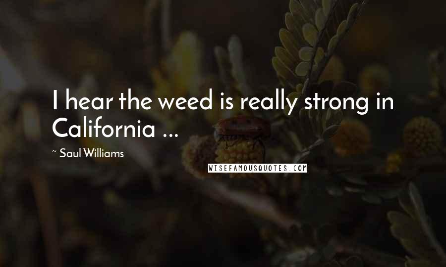 Saul Williams Quotes: I hear the weed is really strong in California ...