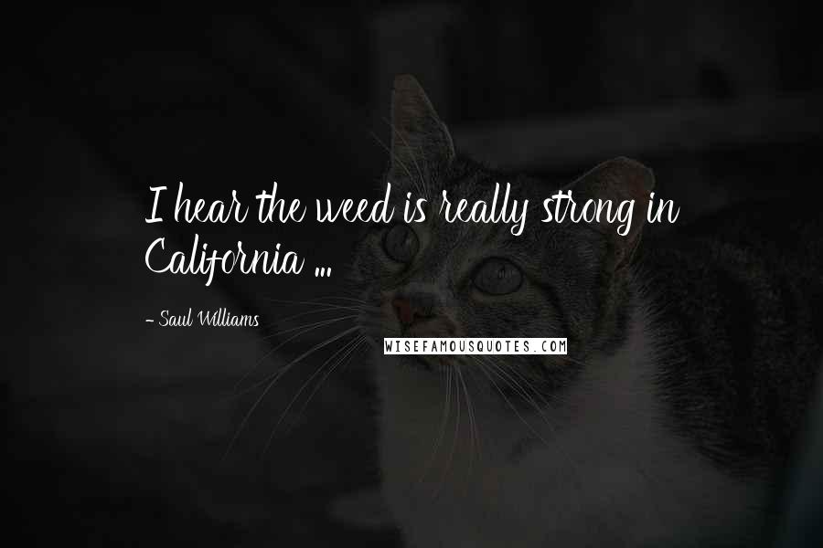 Saul Williams Quotes: I hear the weed is really strong in California ...