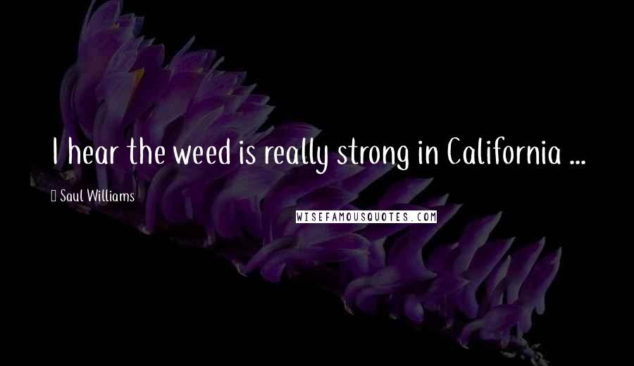 Saul Williams Quotes: I hear the weed is really strong in California ...