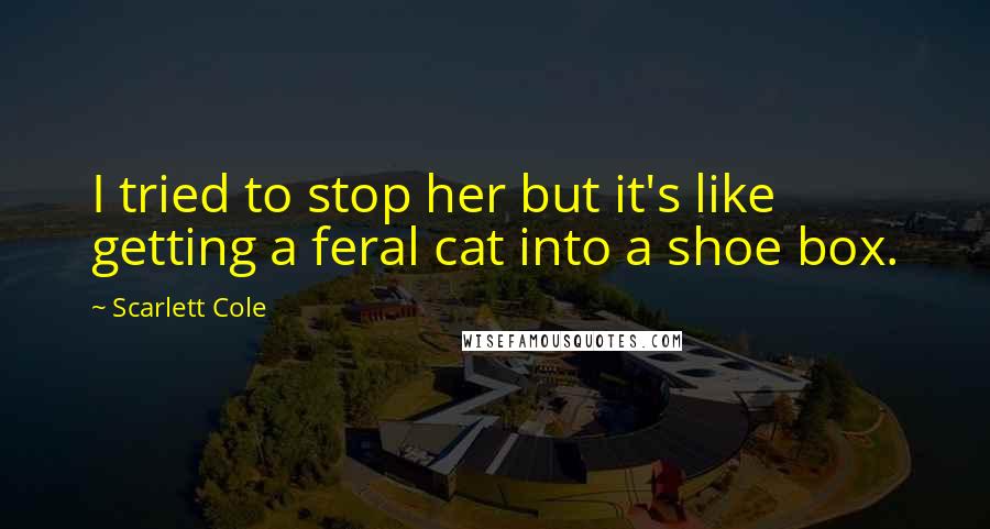 Scarlett Cole Quotes: I tried to stop her but it's like getting a feral cat into a shoe box.