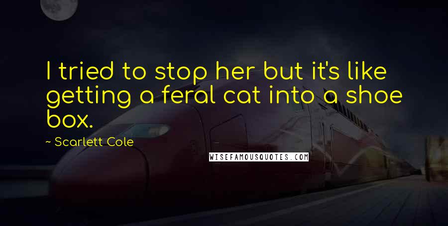 Scarlett Cole Quotes: I tried to stop her but it's like getting a feral cat into a shoe box.