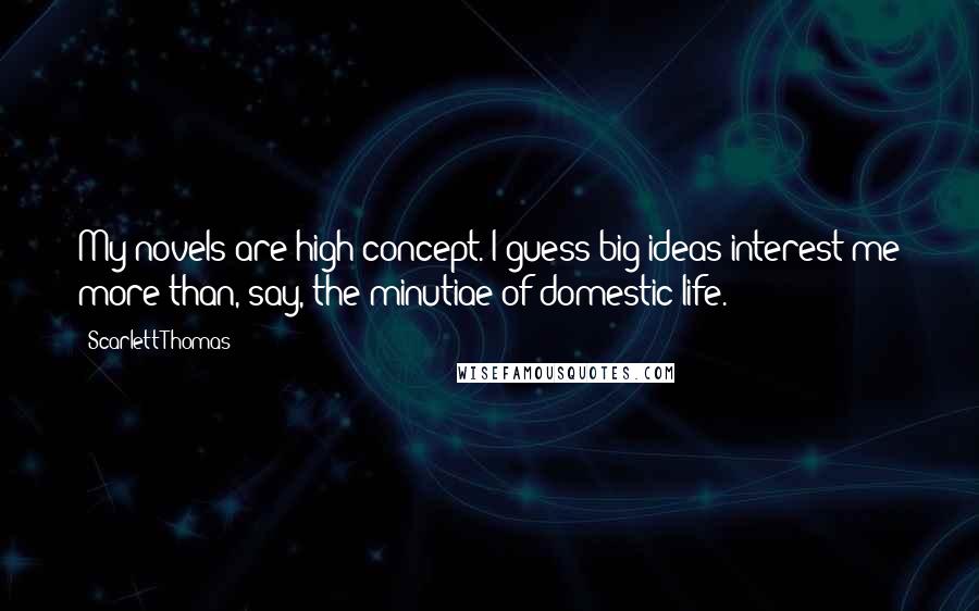 Scarlett Thomas Quotes: My novels are high concept. I guess big ideas interest me more than, say, the minutiae of domestic life.