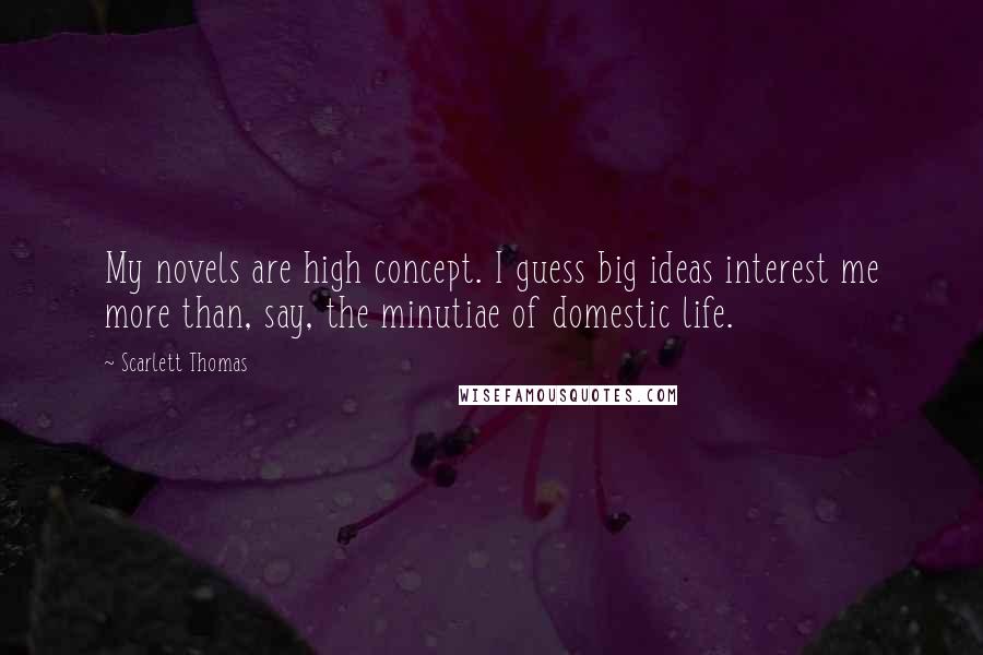 Scarlett Thomas Quotes: My novels are high concept. I guess big ideas interest me more than, say, the minutiae of domestic life.