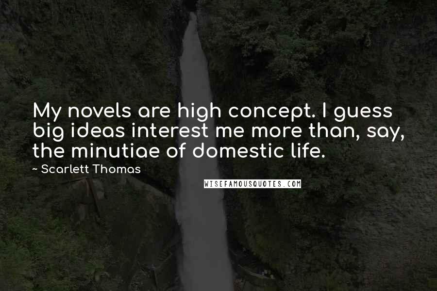 Scarlett Thomas Quotes: My novels are high concept. I guess big ideas interest me more than, say, the minutiae of domestic life.