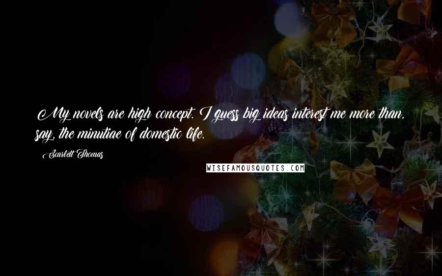 Scarlett Thomas Quotes: My novels are high concept. I guess big ideas interest me more than, say, the minutiae of domestic life.