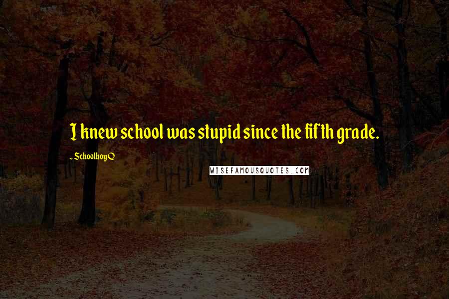 Schoolboy Q Quotes: I knew school was stupid since the fifth grade.