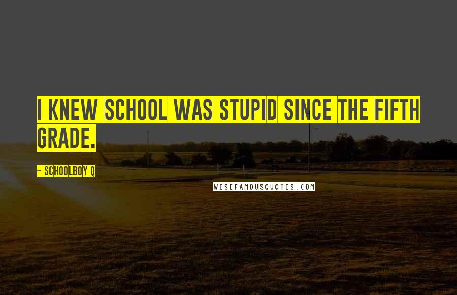 Schoolboy Q Quotes: I knew school was stupid since the fifth grade.