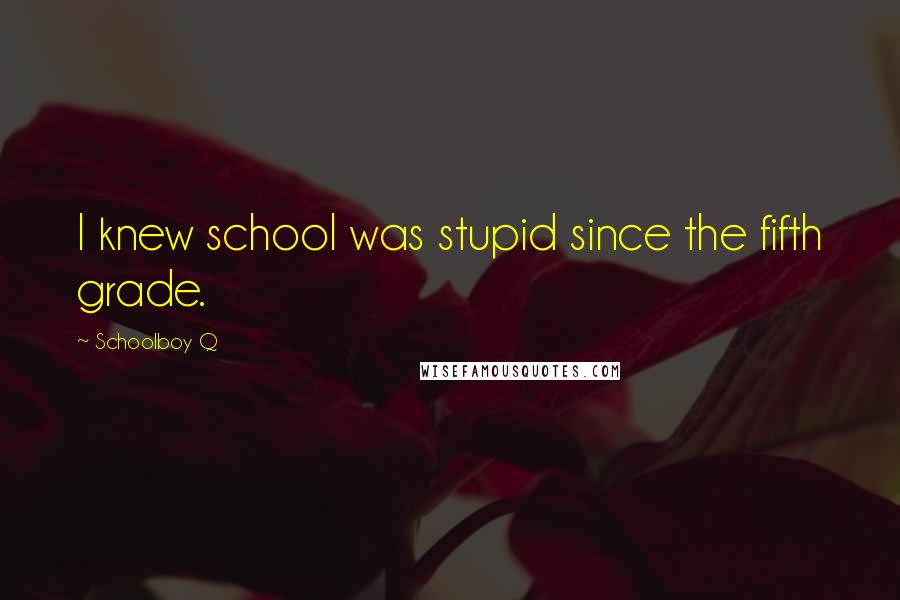 Schoolboy Q Quotes: I knew school was stupid since the fifth grade.