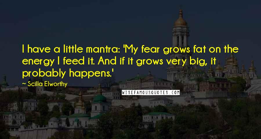 Scilla Elworthy Quotes: I have a little mantra: 'My fear grows fat on the energy I feed it. And if it grows very big, it probably happens.'