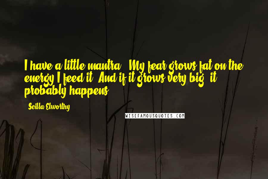 Scilla Elworthy Quotes: I have a little mantra: 'My fear grows fat on the energy I feed it. And if it grows very big, it probably happens.'