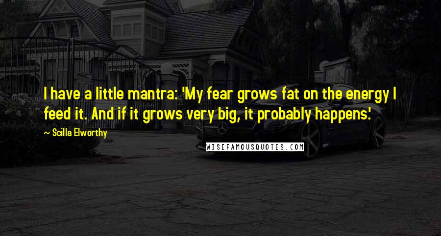 Scilla Elworthy Quotes: I have a little mantra: 'My fear grows fat on the energy I feed it. And if it grows very big, it probably happens.'