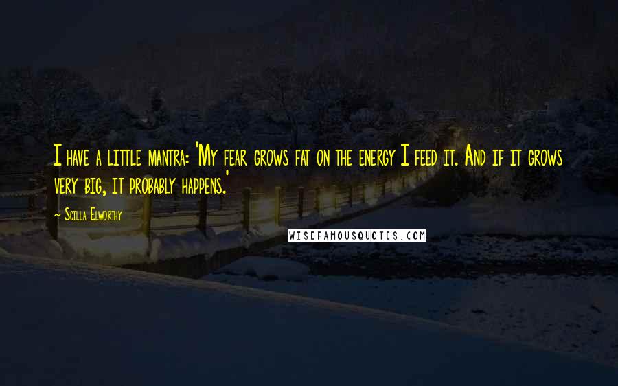 Scilla Elworthy Quotes: I have a little mantra: 'My fear grows fat on the energy I feed it. And if it grows very big, it probably happens.'