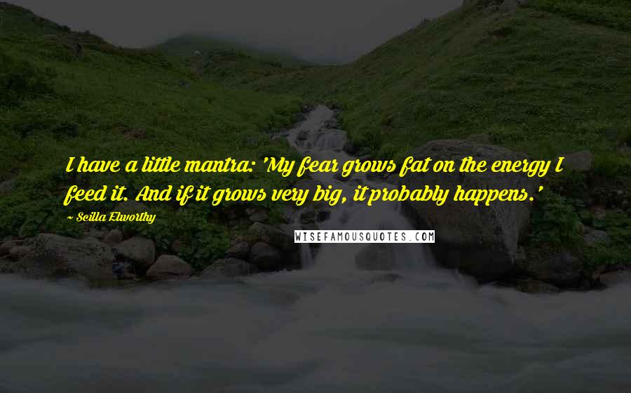 Scilla Elworthy Quotes: I have a little mantra: 'My fear grows fat on the energy I feed it. And if it grows very big, it probably happens.'