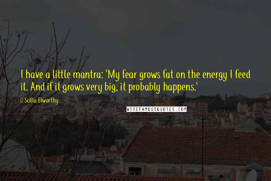 Scilla Elworthy Quotes: I have a little mantra: 'My fear grows fat on the energy I feed it. And if it grows very big, it probably happens.'