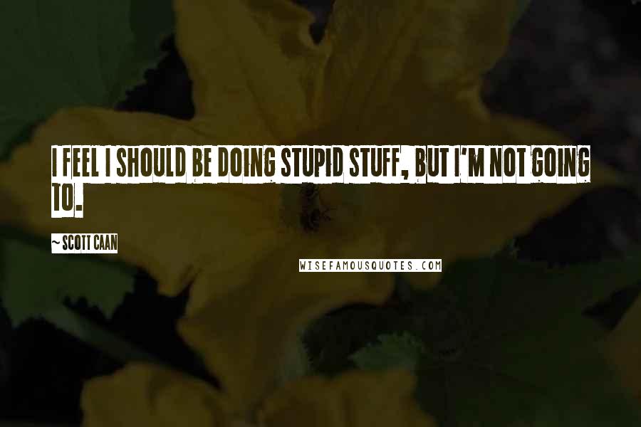 Scott Caan Quotes: I feel I should be doing stupid stuff, but I'm not going to.