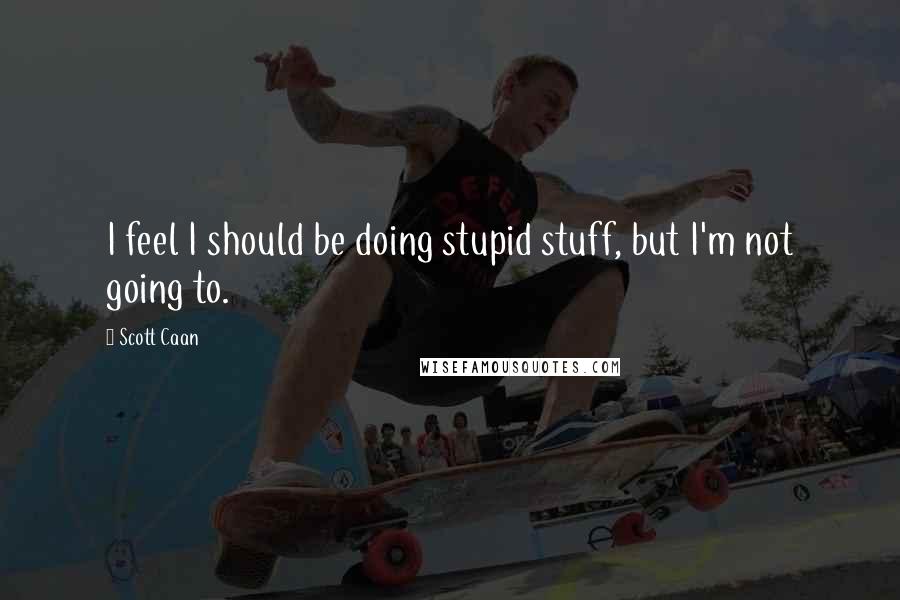 Scott Caan Quotes: I feel I should be doing stupid stuff, but I'm not going to.