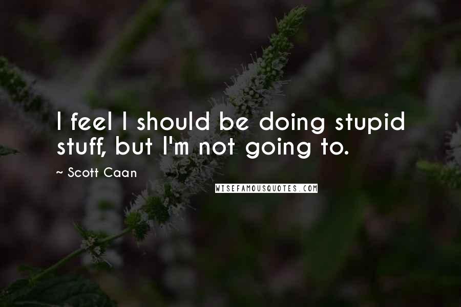 Scott Caan Quotes: I feel I should be doing stupid stuff, but I'm not going to.