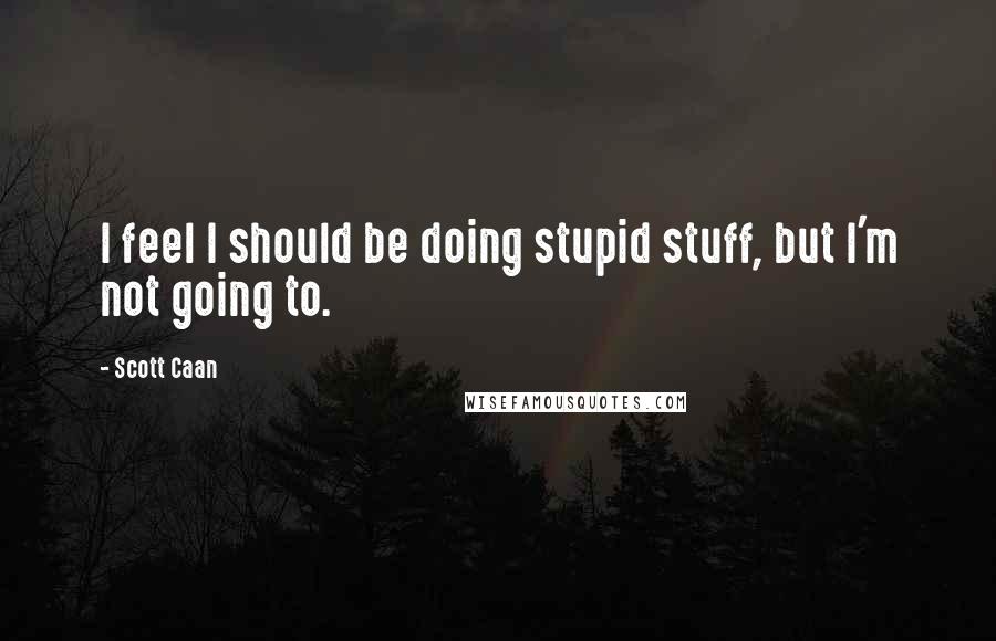 Scott Caan Quotes: I feel I should be doing stupid stuff, but I'm not going to.